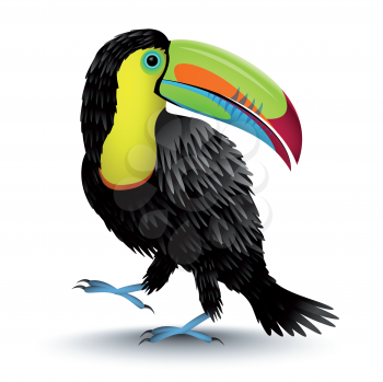 Royalty Free Clipart Image of a Toucan