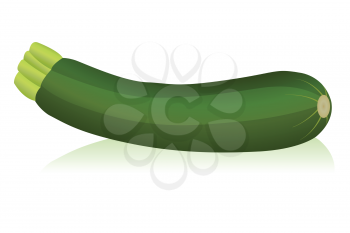 Royalty Free Clipart Image of a Zucchini