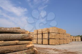 Sawn trees and wooden packing crates (horizontal)