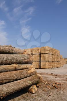 Sawn trees and wooden packing crates (vertical)