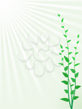 Royalty Free Clipart Image of a Green Sprout