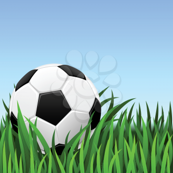 Soccer background – classic soccer ball on the green grass.
