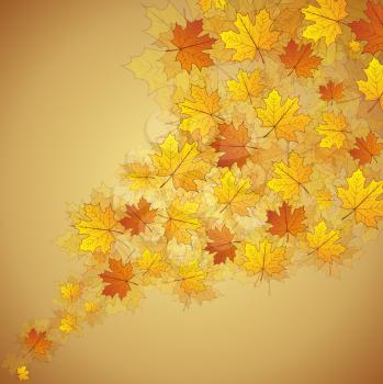 Autumn maple leaves stream yellow and orange colored background. 