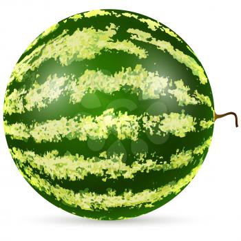 Ripe watermelon isolated on white background vector illustration.