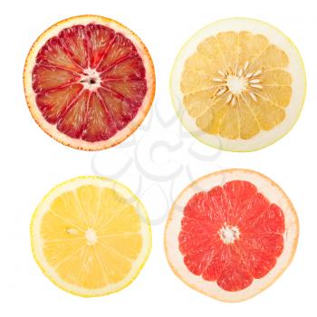 Royalty Free Photo of a Collection of Various Citrus Fruits
