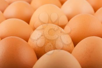 Royalty Free Photo of a Group of Brown Chicken Eggs