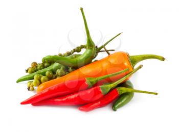 Royalty Free Photo of a Variety of Hot Peppers