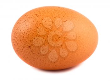 Royalty Free Photo of a Single Chicken Egg