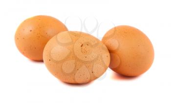 Royalty Free Photo of Three Fresh Chicken Eggs