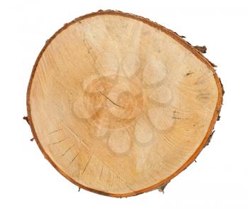 Royalty Free Photo of a Cross Section of a Piece of Lumber