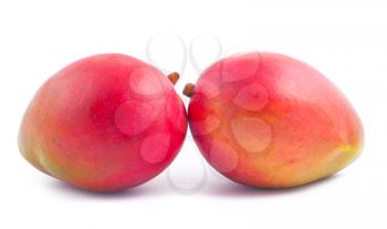 Royalty Free Photo of Two Fresh Mangoes