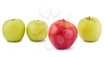 Royalty Free Photo of a Line Up of Apples