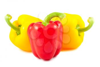 Royalty Free Photo of Fresh Bell Peppers