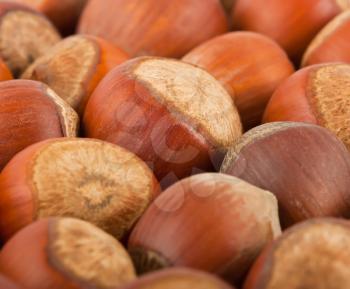Royalty Free Photo of a Collection of a Closeup of Hazelnuts