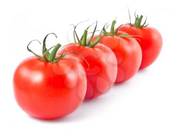 Royalty Free Photo of a Line Up of Ripe Tomatoes
