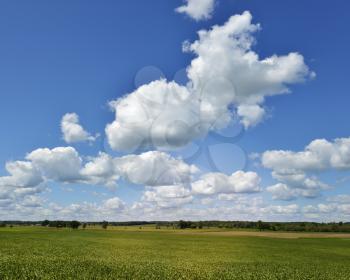 Farmland And A Beautiful Sky In The Summer