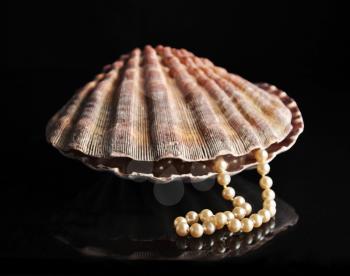 Pearls inside the shell on black background
