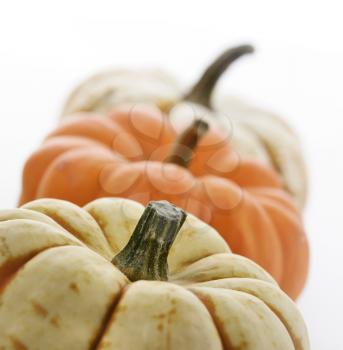 Yellow And Orange Pumpkins,Close Up On White Background
