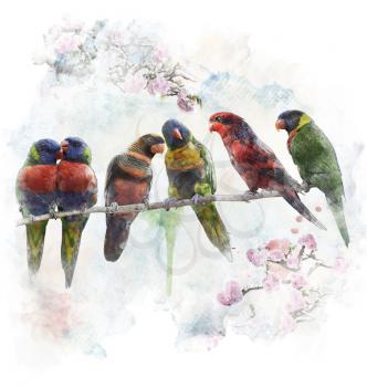 Watercolor Digital Painting Of Colorful Parrots(Rainbow Lorikeet)
