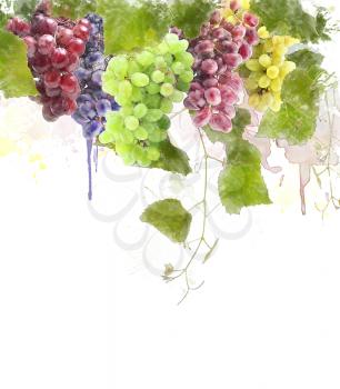 Watercolor Digital Painting Of Grapes With Leaves