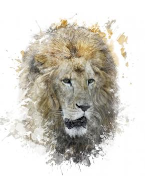 Watercolor Digital Painting Of Lion Head