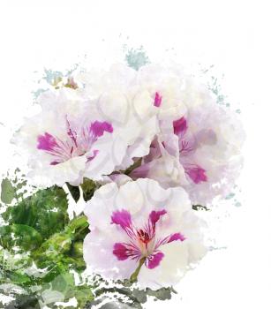 Watercolor Digital Painting Of Geranium Flowers