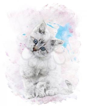 Watercolor Digital Painting Of  White Kitten