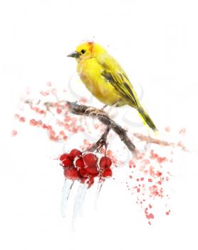 Watercolor Digital Painting Of Yellow Bird And Berries