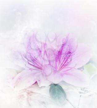 Digital Painting Of Pink Azalea Flowers.Soft Focus