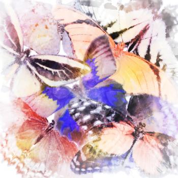 Digital Painting Of Butterflies Close Up