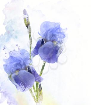 Digital Painting of Iris Flowers