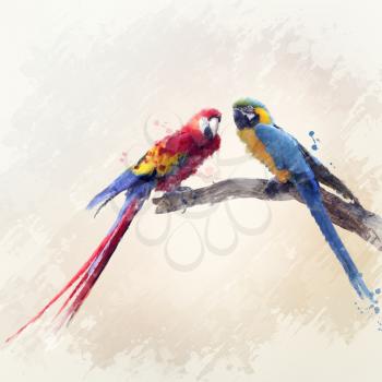 Digital Painting Of Two Macaw Parrots 