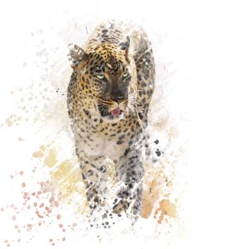Digital Painting of Leopard on White Background