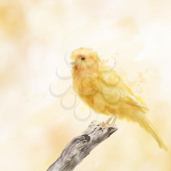 Digital Painting of Yellow Bird 