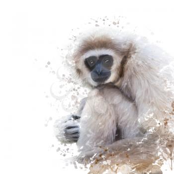 Digital Painting of White-handed gibbon