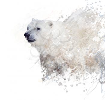 Digital Painting of  Polar Bear