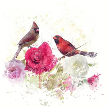 Digital Painting of Male and Female Northern Cardinals