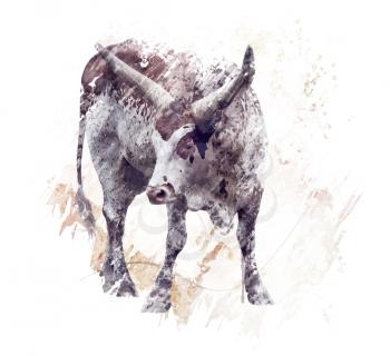 digital painting of  longhorn steer