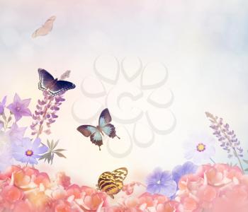Beautiful Background with Flowers and Butterflies