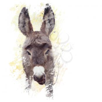 digital painting of young donkey mule