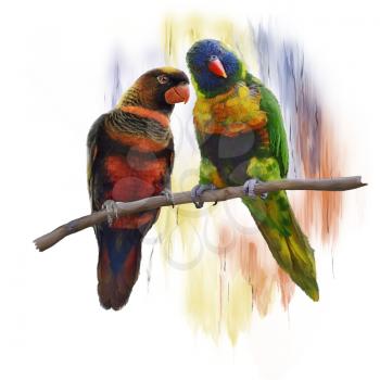 Digital Painting of  Lorikeet Parrots