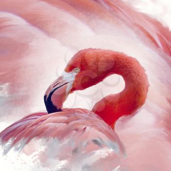 Flamingo portrait watercolor digital painting