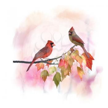 Digital Painting of  Male and Female Northern Cardinals