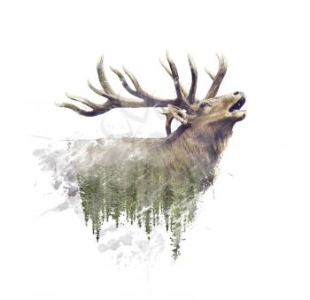 Deer and Forest. Watercolor Double Exposure effect on white background.Digital painting.