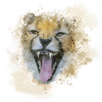 Cheetah Portrait watercolor, digital illustration on white background.
