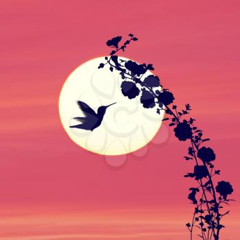 Flowers silhouette and a hummingbird against colorful sunset