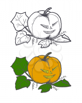 Hand drawn doodle Halloween pampkin. Black pen objects and color drawing. Design illustration for poster, flyer over white background.