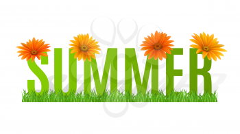 Summer Typographic Banner with flowers for design. Vector illustration