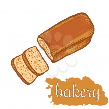 Hand drawn decorative fresh bread bakery . Vector Illustration.