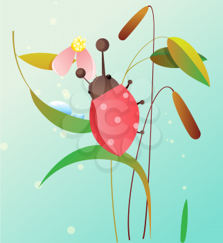 Ladybird on a flower